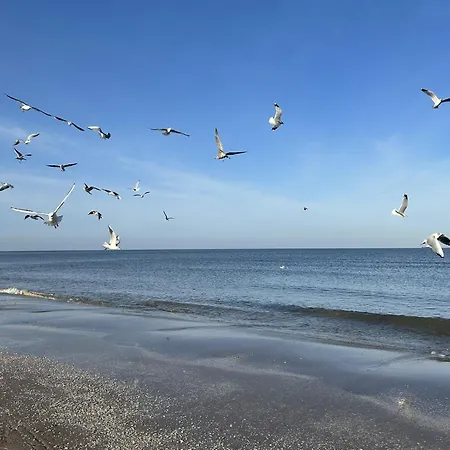 Wald Und 3* Heringsdorf (Usedom)